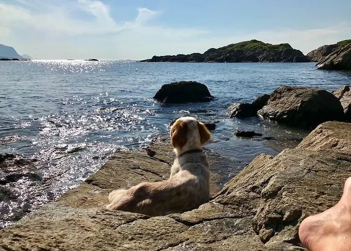 דירה Marihaugen *